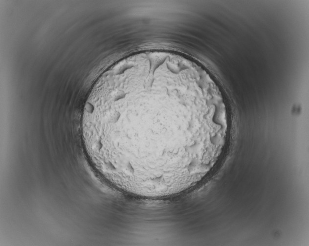 X0000110700849200907101219
