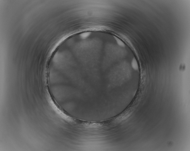 X0000110700851200907101219