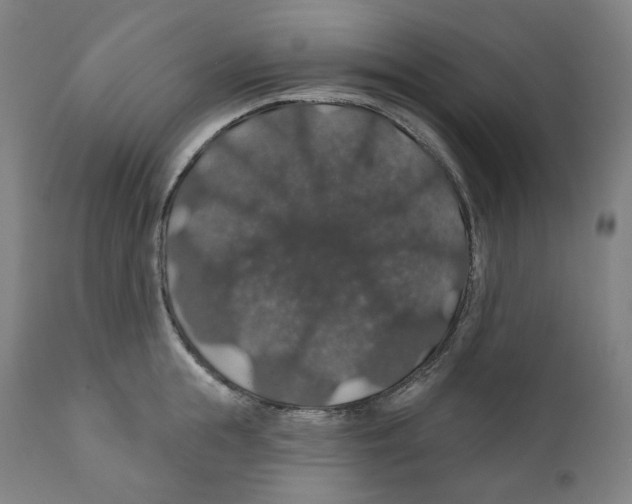 X0000110700855200907101219