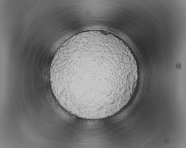 X0000110700857200907101219
