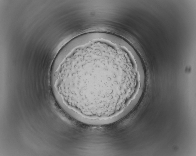 X0000110700858200907101219