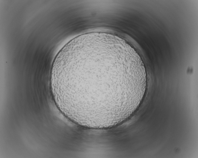 X0000110700860200907101219