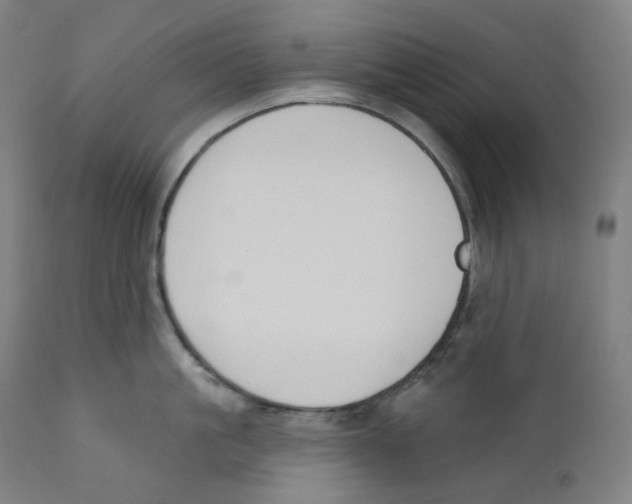 X0000110700861200907101219