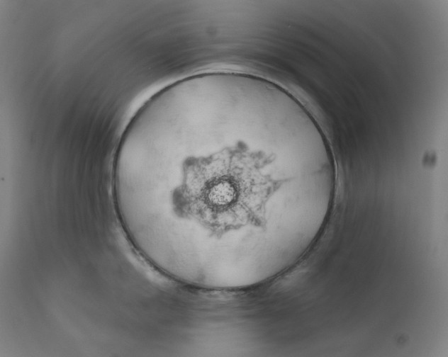 X0000110700862200907101219