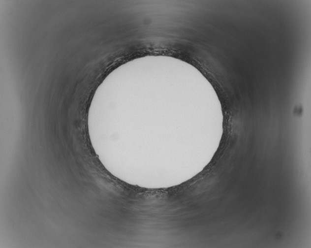 X0000110700865200907101219