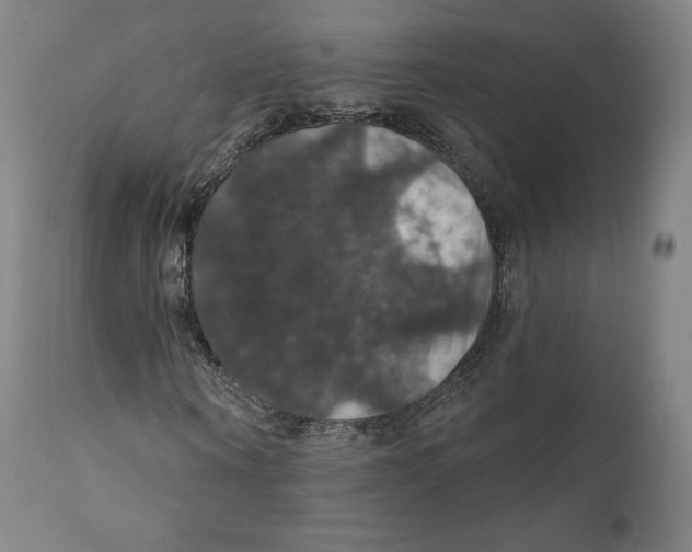 X0000110700866200907101219