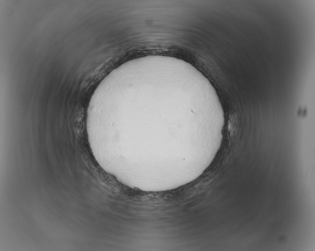 X0000110700867200907101219