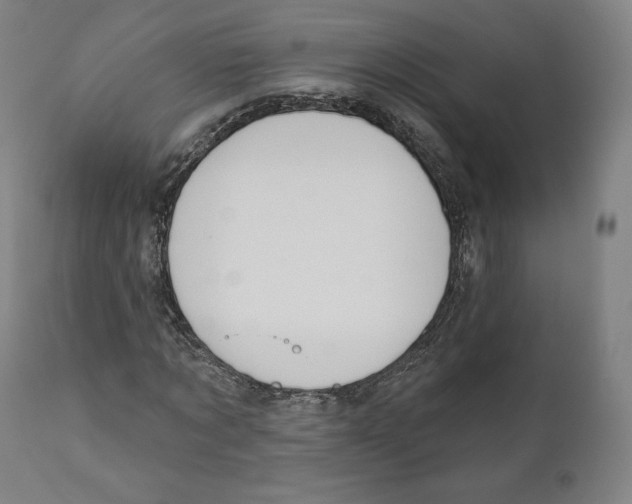 X0000110700869200907101219