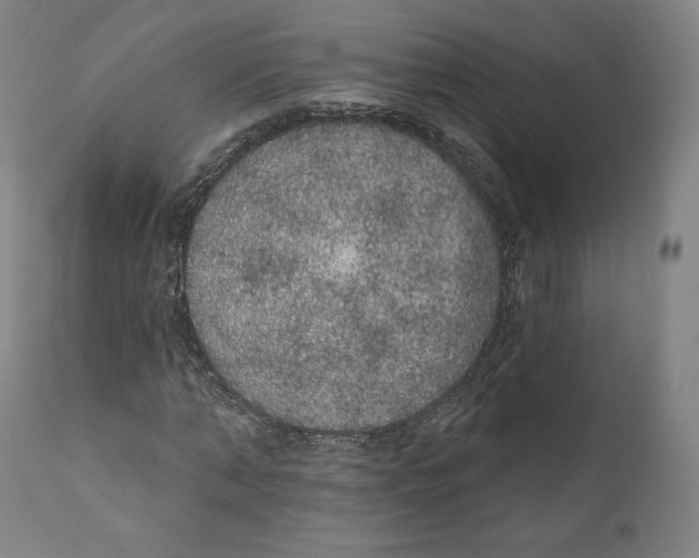 X0000110700870200907101219