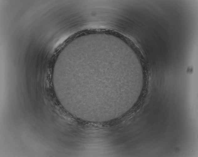 X0000110700871200907101219