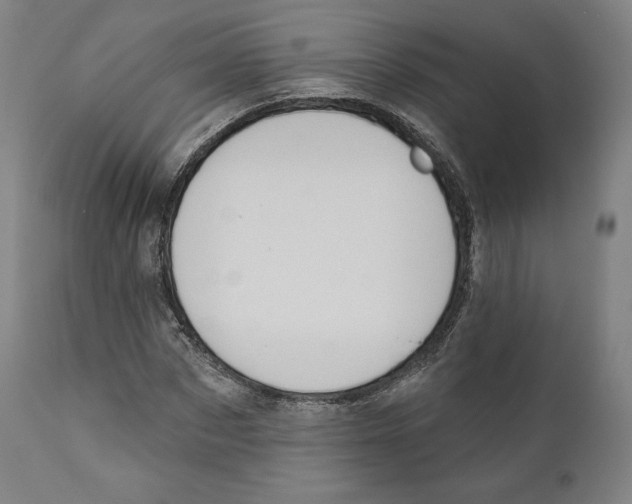 X0000110700873200907101218