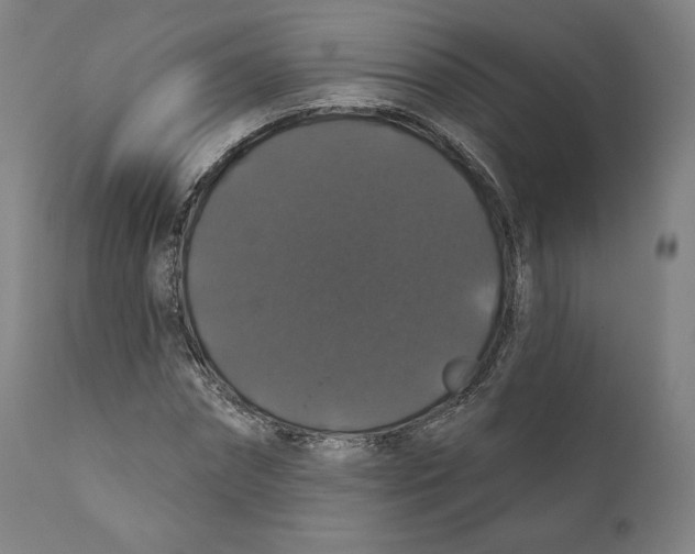X0000110700874200907101218