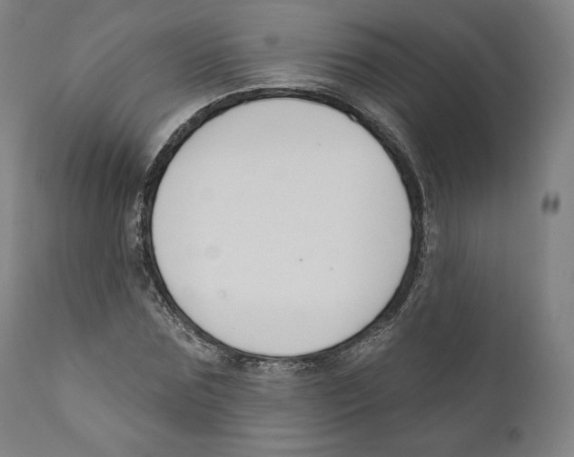 X0000110700875200907101218