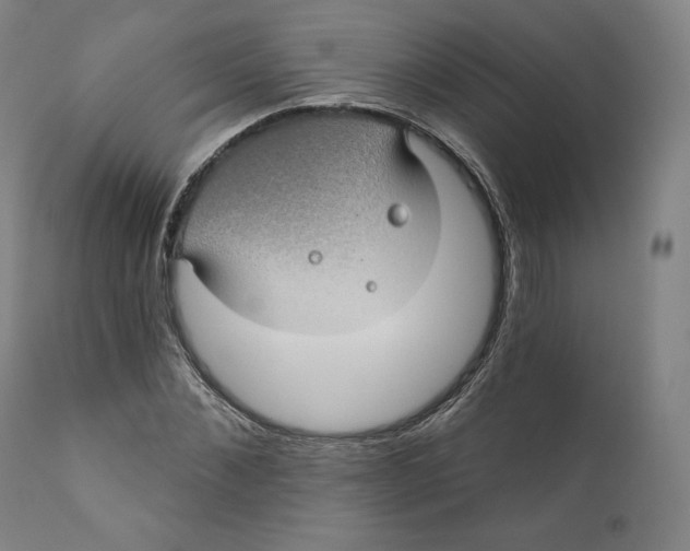 X0000110700876200907101218
