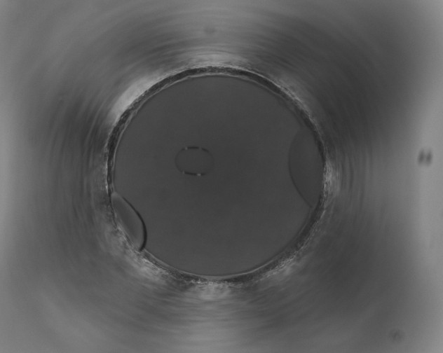X0000110700877200907101218