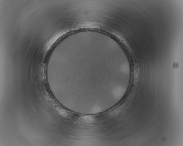 X0000110700878200907101218
