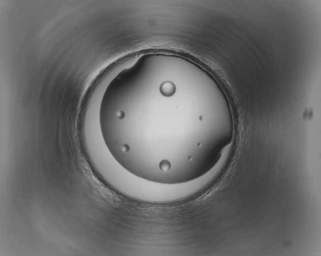 X0000110700880200907101218