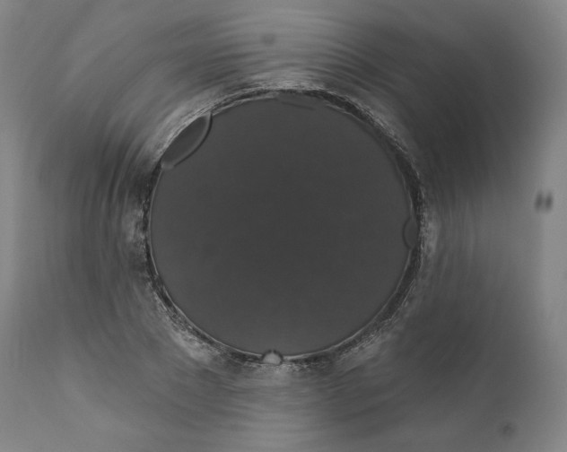 X0000110700881200907101218