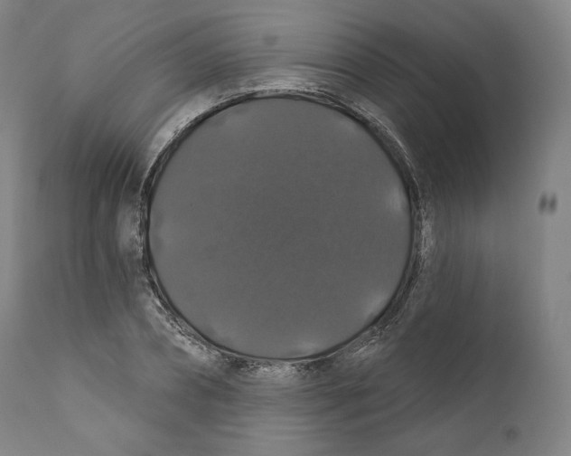 X0000110700882200907101218