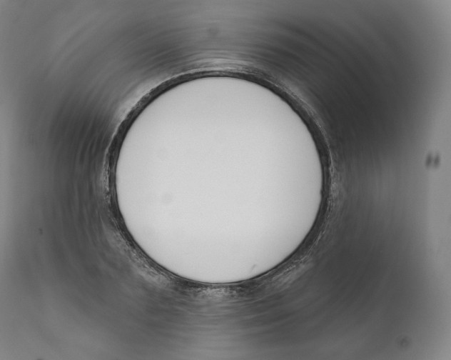 X0000110700883200907101218