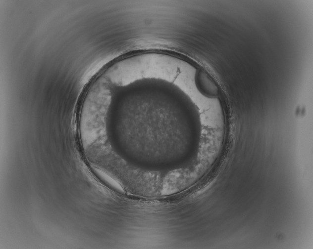 X0000110700885200907101218