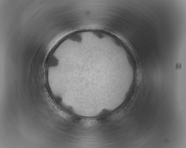 X0000110700886200907101218