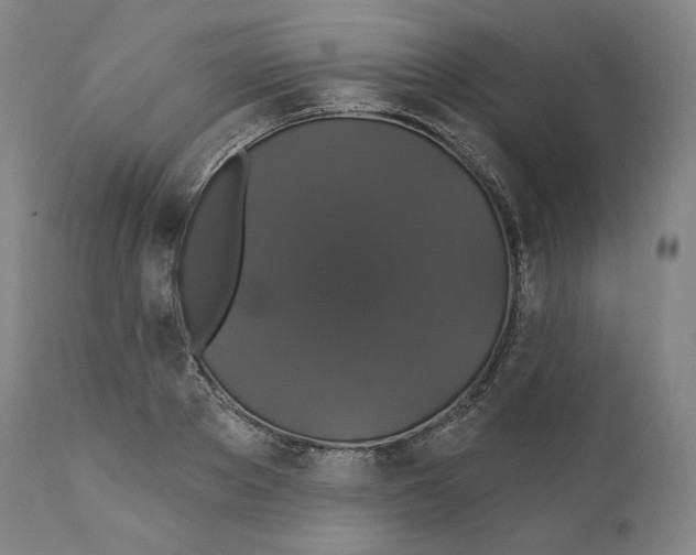 X0000110700889200907101218