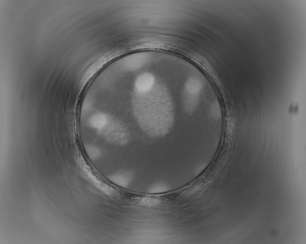 X0000110700890200907101218