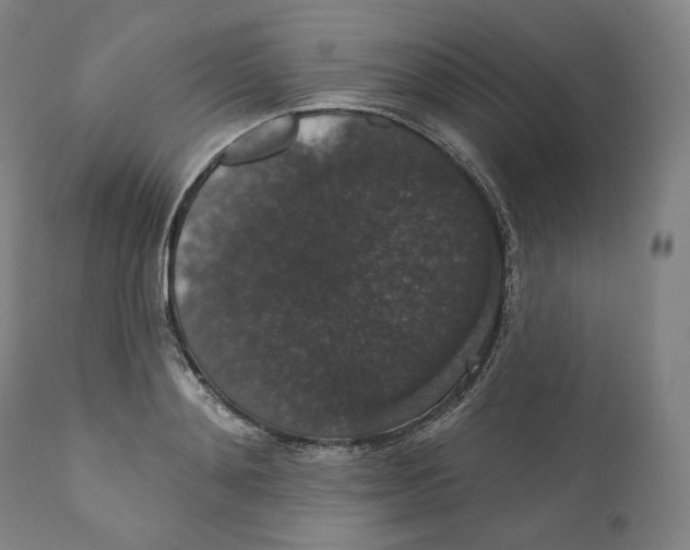 X0000110700892200907101218