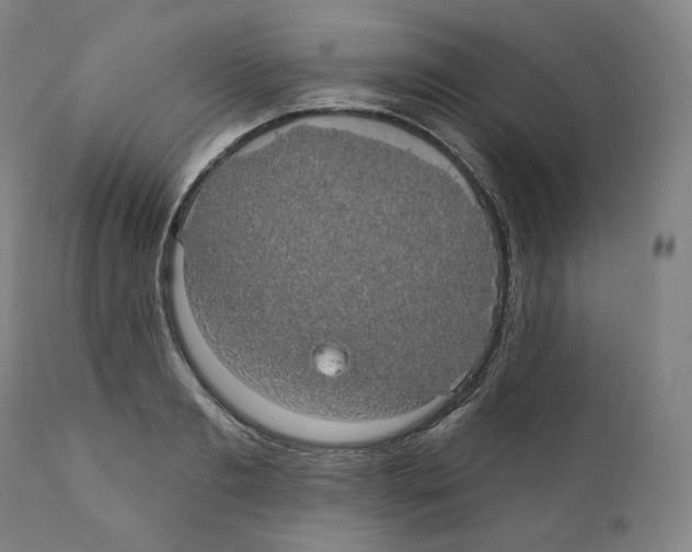 X0000110700893200907101218