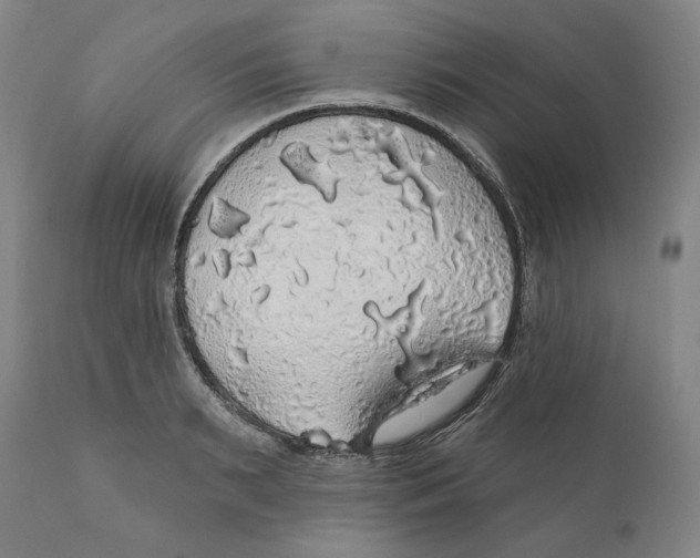 X0000110700895200907101218