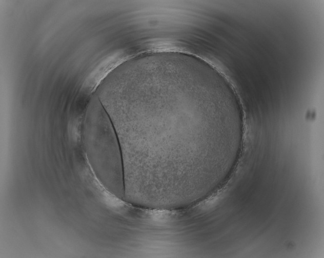 X0000110700897200907101218