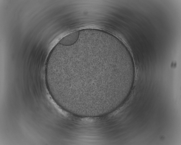 X0000110700898200907101218