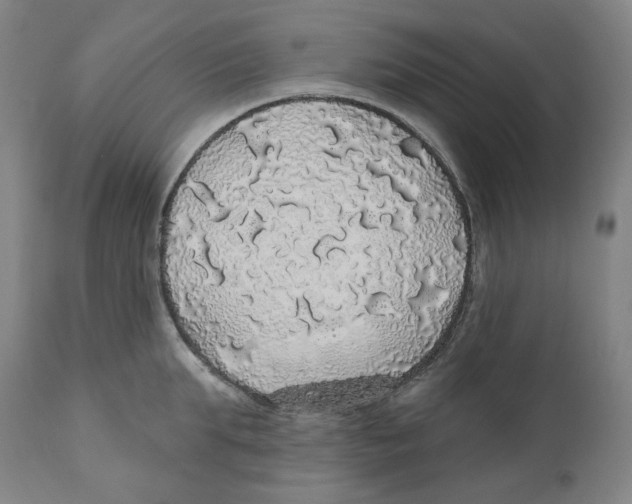 X0000110700903200907101218