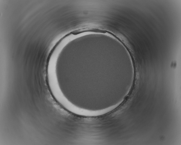 X0000110700904200907101218