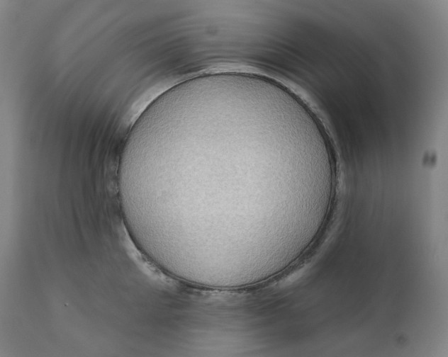 X0000110700905200907101218