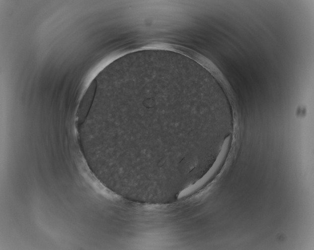 X0000110700908200907101218