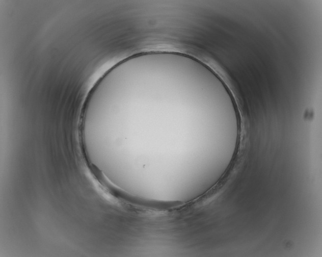 X0000110700909200907101218