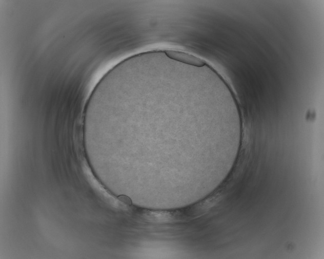 X0000110700911200907101218
