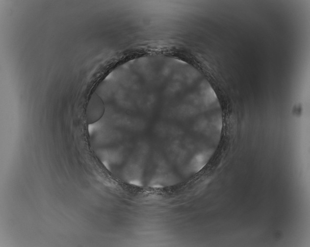 X0000110700913200907101217