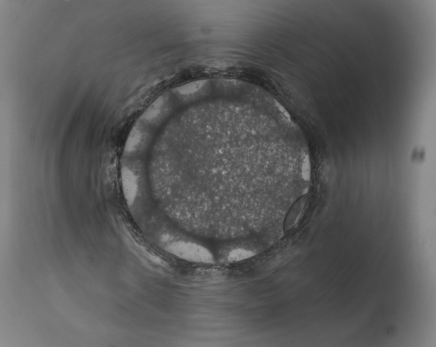 X0000110700914200907101217
