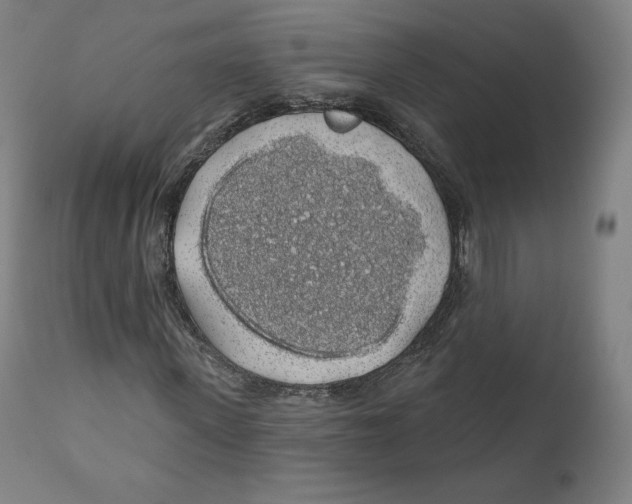 X0000110700915200907101217