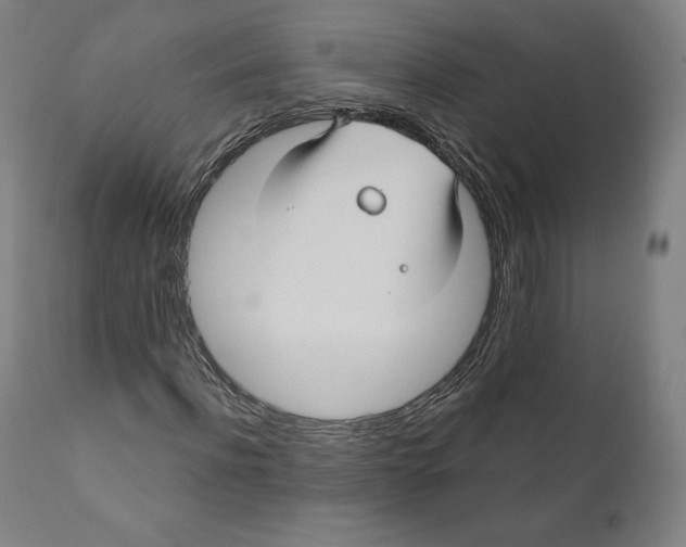 X0000110700916200907101217