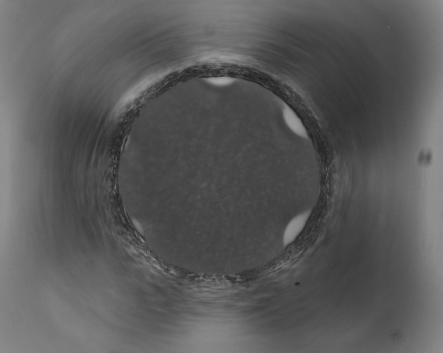 X0000110700919200907101217