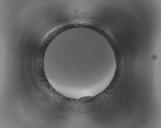 X0000110700920200907101217