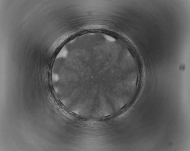 X0000110700921200907101217