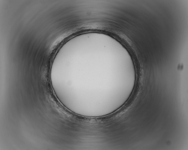 X0000110700922200907101217