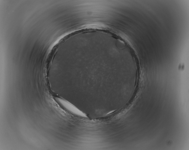 X0000110700923200907101217