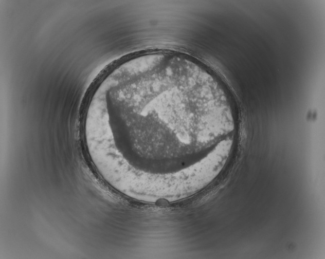 X0000110700924200907101217