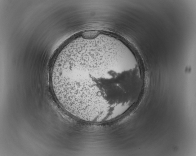 X0000110700925200907101217